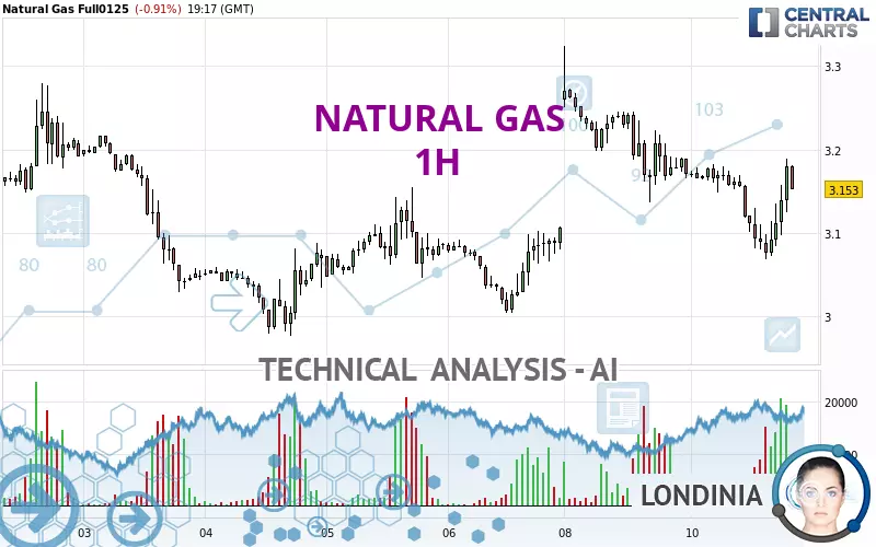 NATURAL GAS - 1 uur