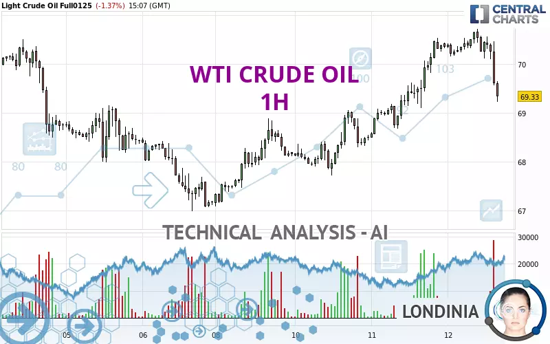 WTI CRUDE OIL - 1H