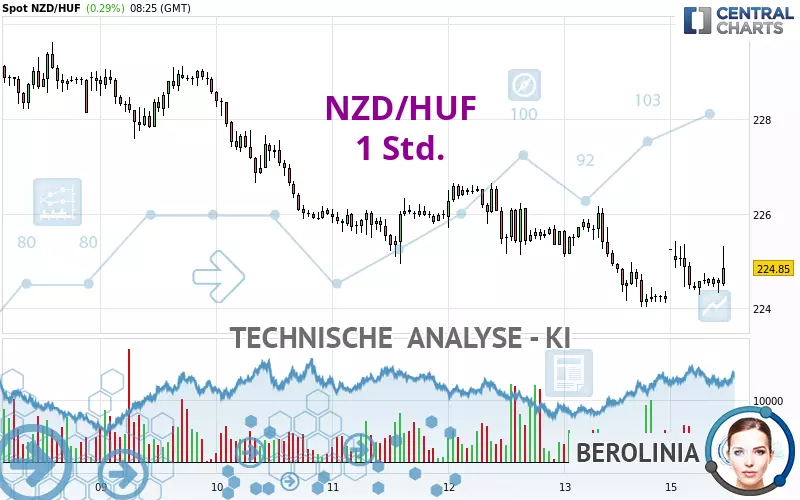 NZD/HUF - 1 Std.