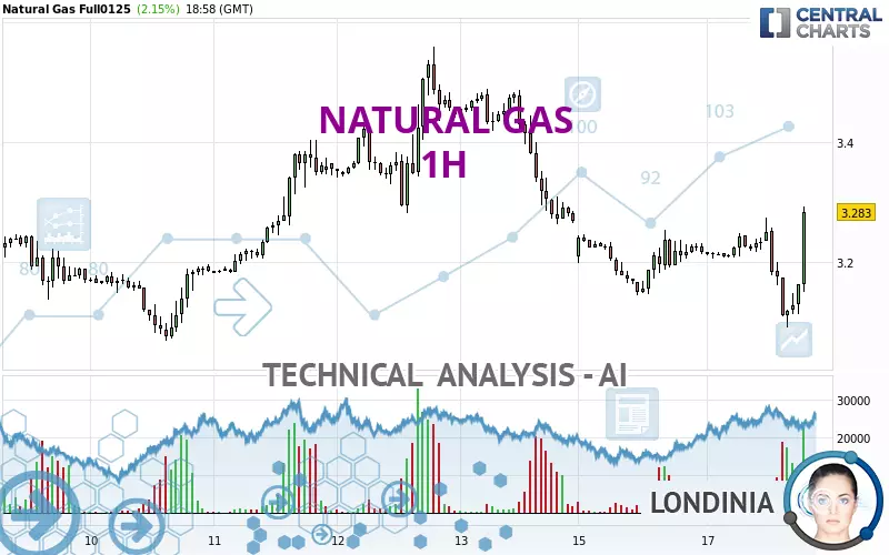 NATURAL GAS - 1 Std.