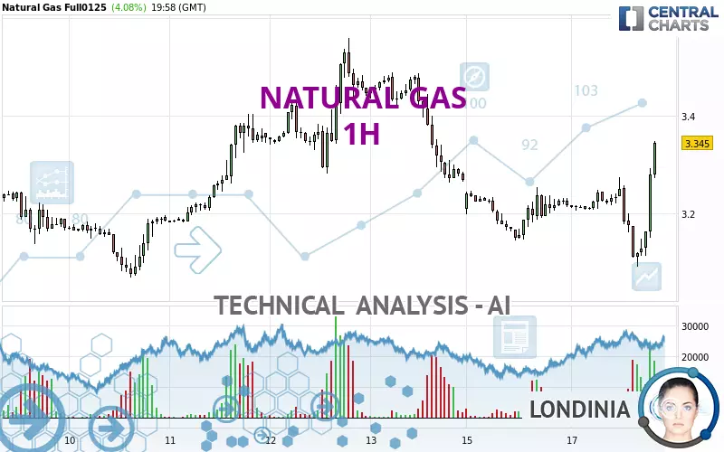 NATURAL GAS - 1 Std.