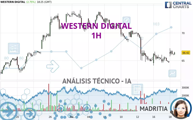 WESTERN DIGITAL - 1H