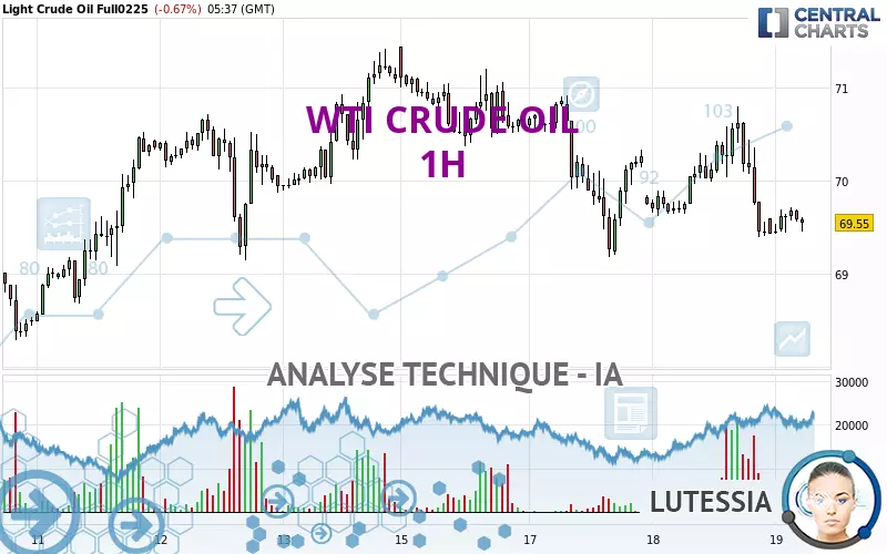 WTI CRUDE OIL - 1H