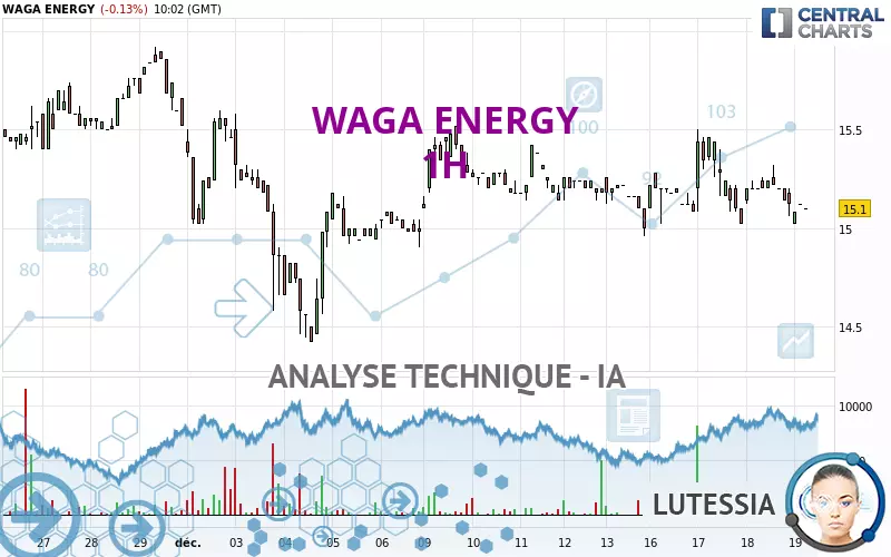 WAGA ENERGY - 1H