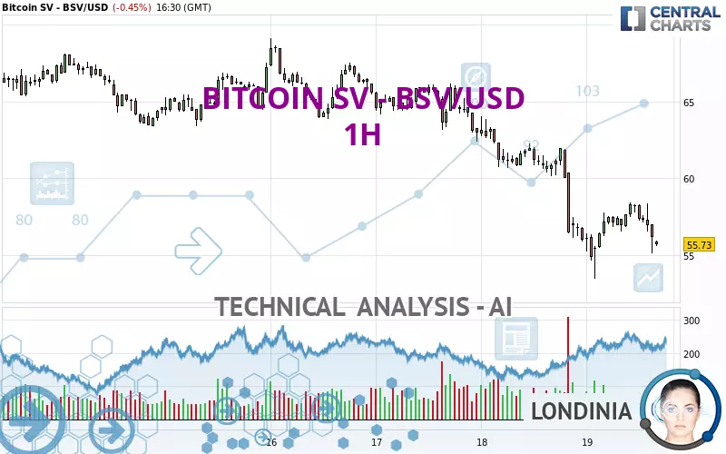 BITCOIN SV - BSV/USD - 1H