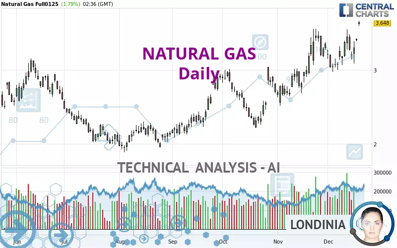 NATURAL GAS - Daily