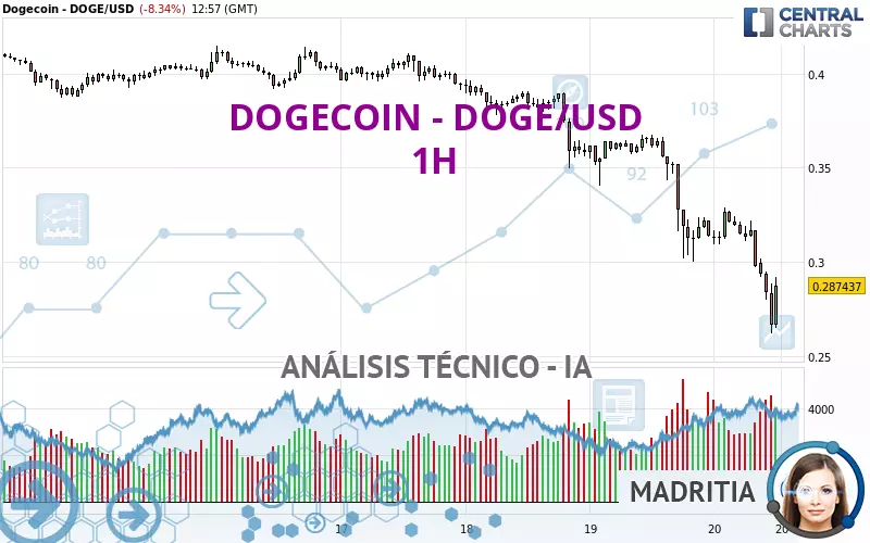 DOGECOIN - DOGE/USD - 1H