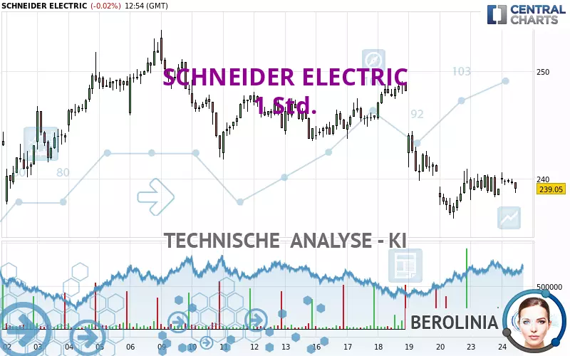 SCHNEIDER ELECTRIC - 1 Std.