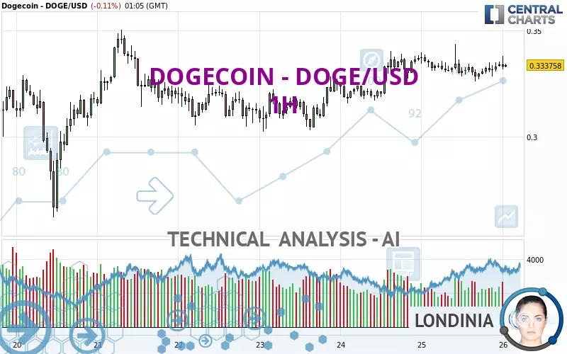 DOGECOIN - DOGE/USD - 1H