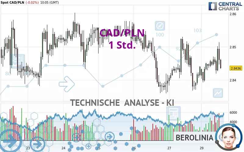 CAD/PLN - 1 Std.