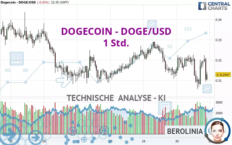 DOGECOIN - DOGE/USD - 1H