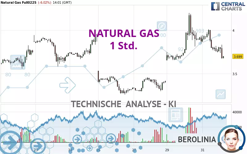 NATURAL GAS - 1 Std.