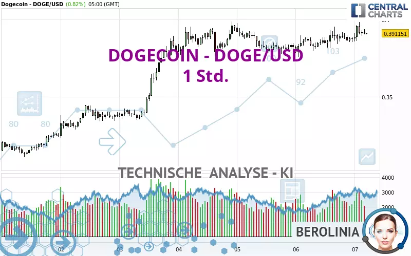 DOGECOIN - DOGE/USD - 1 Std.