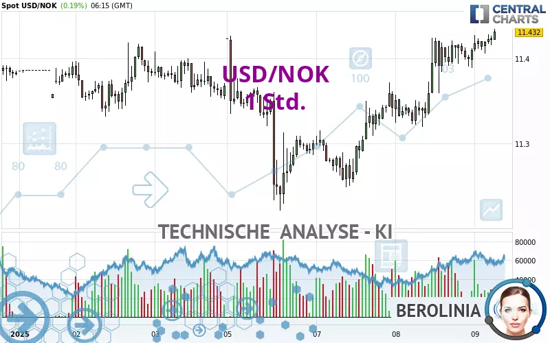 USD/NOK - 1 Std.