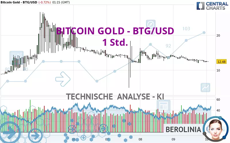 BITCOIN GOLD - BTG/USD - 1 Std.