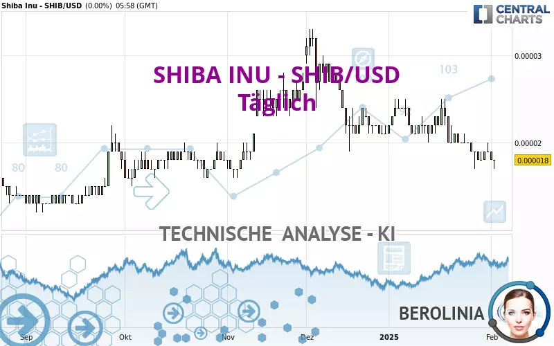 SHIBA INU - SHIB/USD - Dagelijks