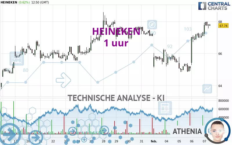 HEINEKEN - 1 uur