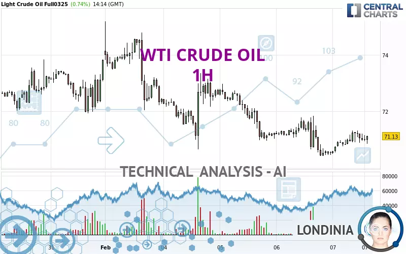 WTI CRUDE OIL - 1 Std.