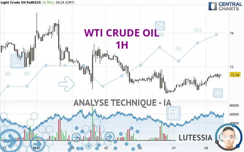 WTI CRUDE OIL - 1 Std.