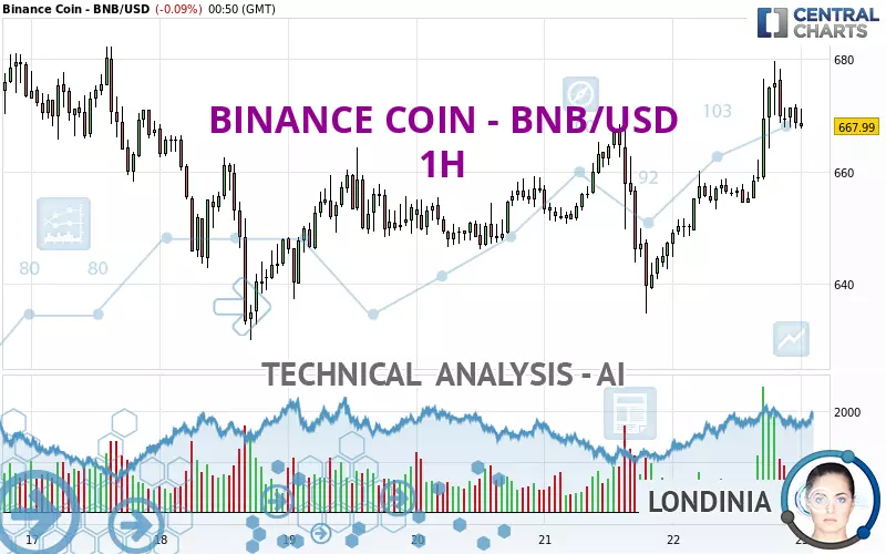 BINANCE COIN - BNB/USD - 1 uur