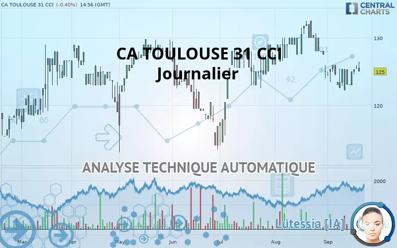 CA TOULOUSE 31 CCI - Journalier