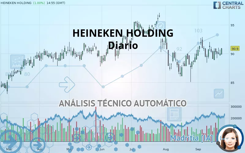 HEINEKEN HOLDING - Diario