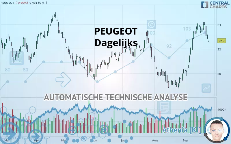 PEUGEOT - Dagelijks