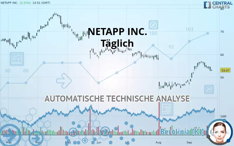 NETAPP INC. - Täglich