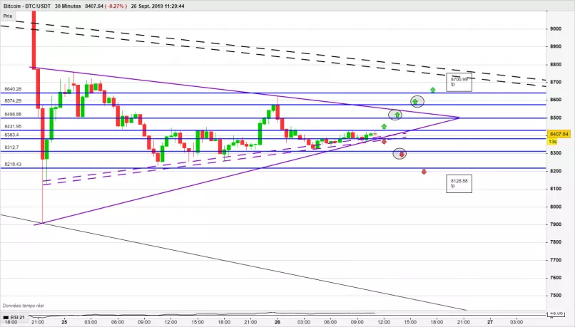 BITCOIN - BTC/USDT - 30 min.