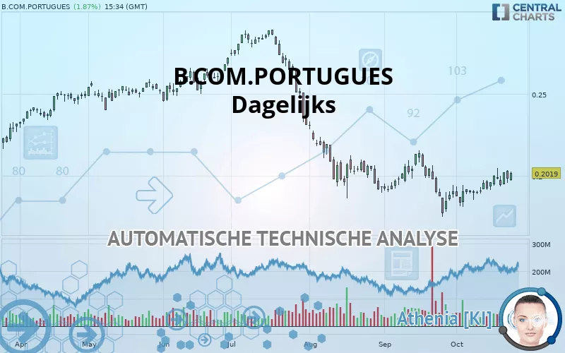 B.COM.PORTUGUES - Dagelijks