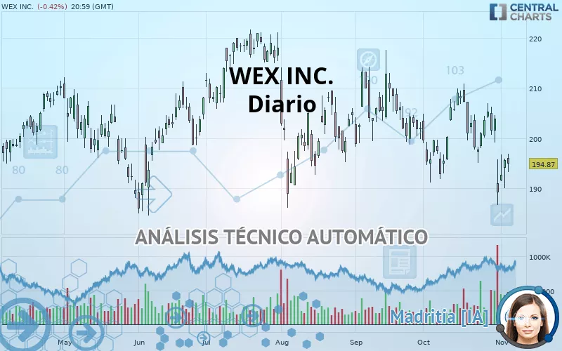 WEX INC. - Diario