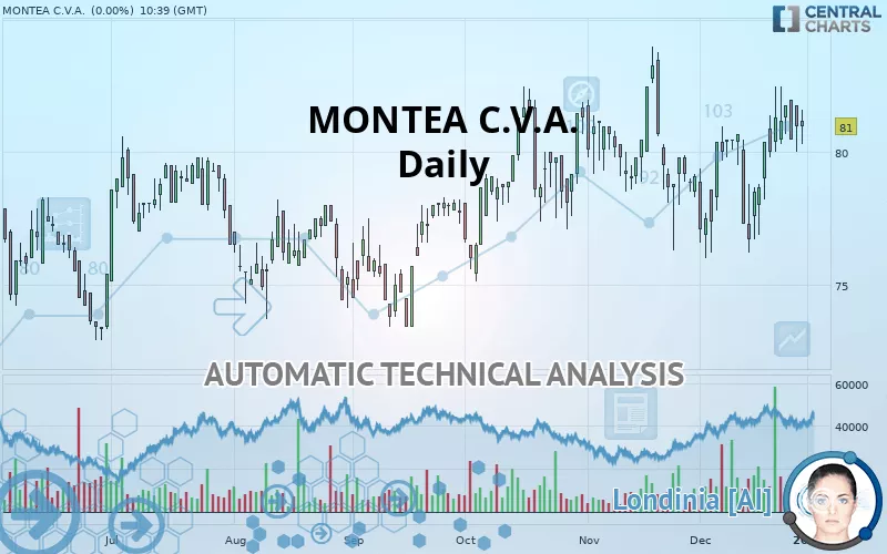 MONTEA - Daily