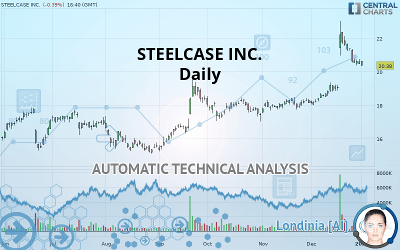 STEELCASE INC. - Daily