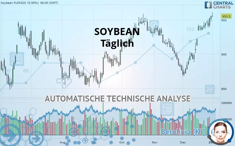 SOYBEAN - Journalier