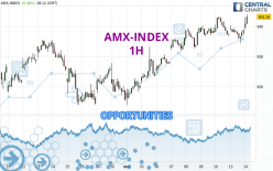 AMX-INDEX - 1 uur