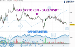 BAKERYTOKEN - BAKE/USDT - 1H