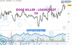 DOGE KILLER - LEASH/USDT - 1H