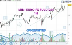 MINI EURO FX FULL0325 - 1 Std.