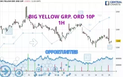 BIG YELLOW GRP. ORD 10P - 1H