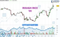 ROUGH RICE - 1 Std.