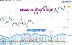 MAGNOLIA OIL &amp; GAS - 1H