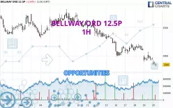 BELLWAY ORD 12.5P - 1H