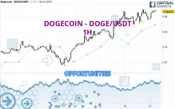 DOGECOIN - DOGE/USDT - 1H