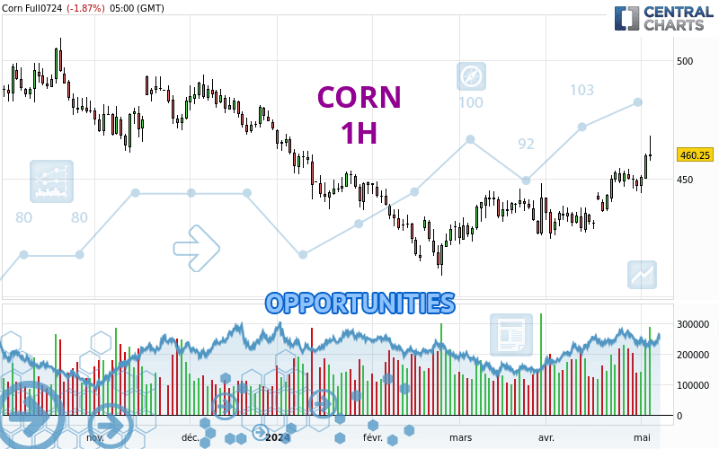 CORN - 1 Std.