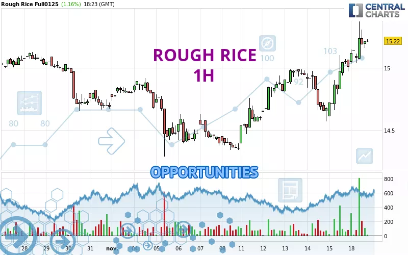 ROUGH RICE - 1 Std.