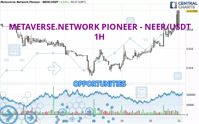 METAVERSE.NETWORK PIONEER - NEER/USDT - 1H