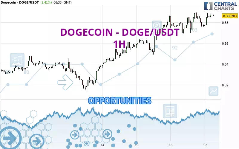 DOGECOIN - DOGE/USDT - 1H