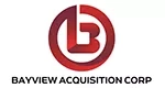 BAYVIEW ACQUISITION CORP ORD.