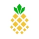 PINEAPPLE ENERGY INC.