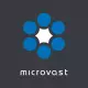 MICROVAST HOLDINGS INC.